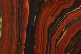 Polished Tiger Iron Stromatolite - Billion Years #129211-1